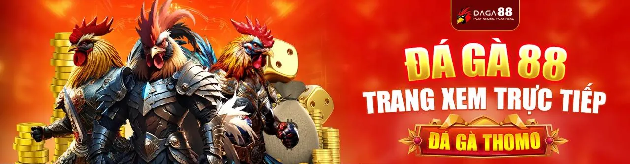 Trò chơi đá gà tại nohu888